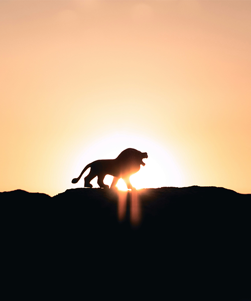 MAGIC_Events_DiscoverNYC_LionKing