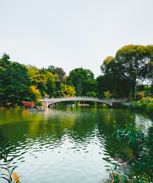 MAGIC_Events_DiscoverNYC_CentralPark